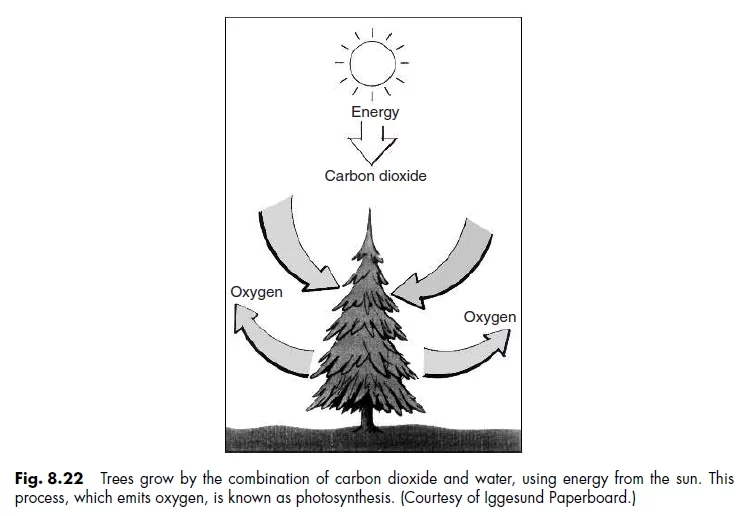 Fig. 8.22 Trees grow by the combination of carbon dioxide and water, using energy from the sun. This  process, which emits oxygen, is known as photosynthesis. (Courtesy of Iggesund Paperboard.)