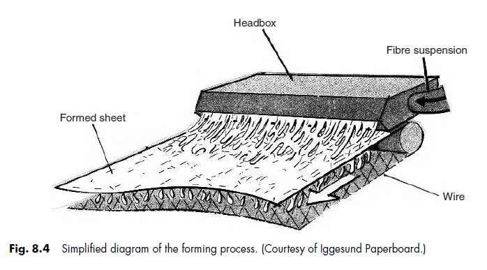 paper and paperboard forming process