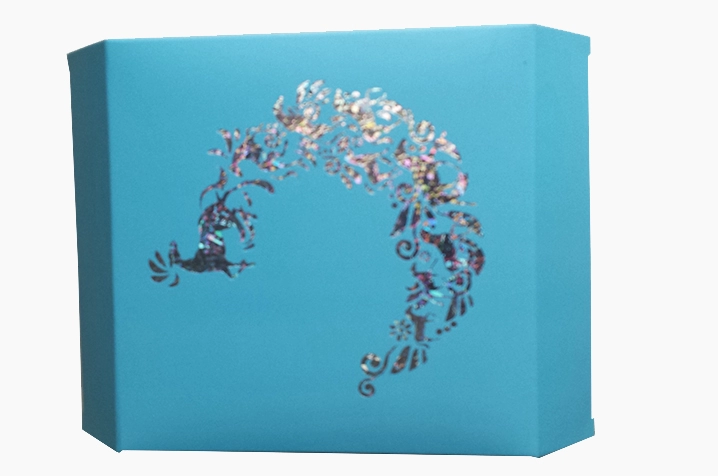 holographic foil printed paper box